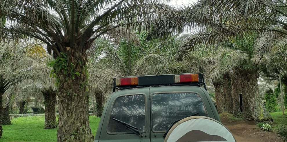 2 Days Rwanda Gorilla Safari