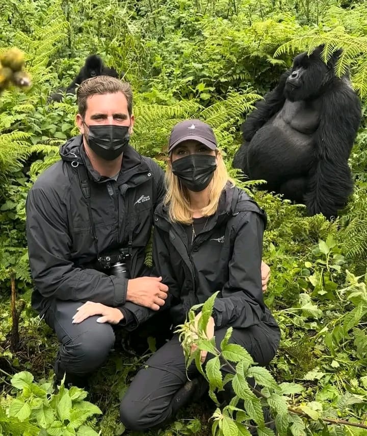 Gorilla trekking in Bwindi Impenetrable National Park