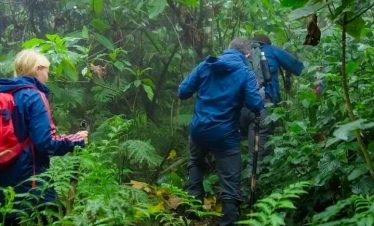 Best time to Visit Uganda