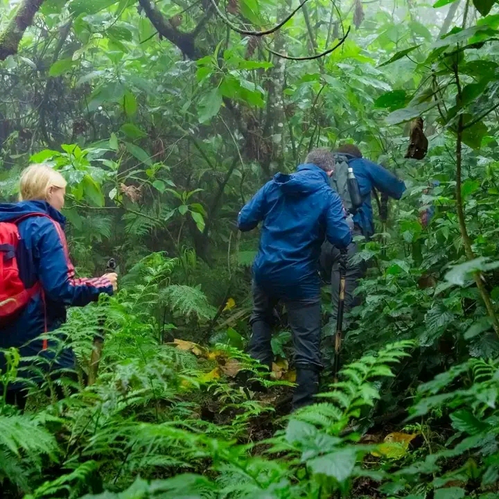 Best time to Visit Uganda