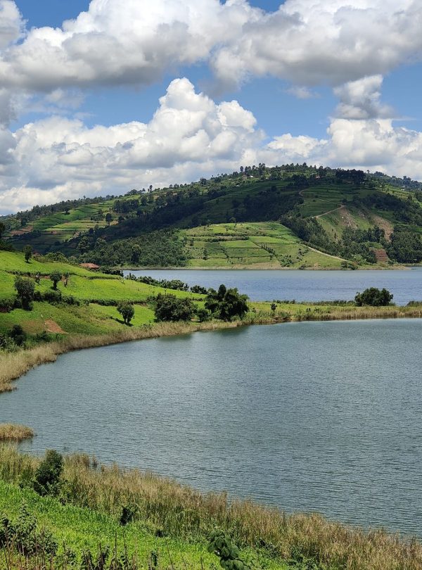 20250422_221828-80ed